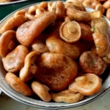 Suho soljenje gljiva: kako soliti, recepti